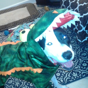 Fundraising Page: Brooke M